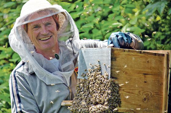 Markus Wasmeier mit Bienenschwarm. Friedlich sammeln sich die Bienen in der Schwarmkiste. 	Foto: Wasmeier Museum