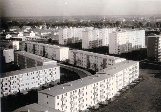 Die Parkstadt Bogenhausen im Jahr 1954. Im Vordergrund ist die Beblostraße zu erkennen. Foto: privat