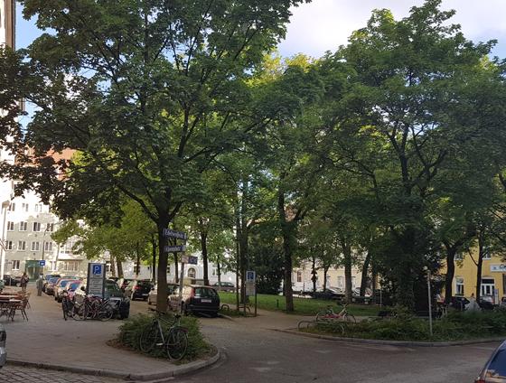 In diesem Sommer soll der südliche Bereich des Alpenplatzes entlang der Grünanlage für den Verkehr gesperrt werden: ein Pilotprojekt der Stadt München. Foto: bs