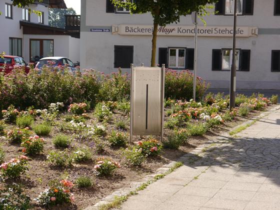 Die im Mai 2019 gepflanzte Blühfläche vor dem Aßlinger Rathaus. Foto: Trudi Christof