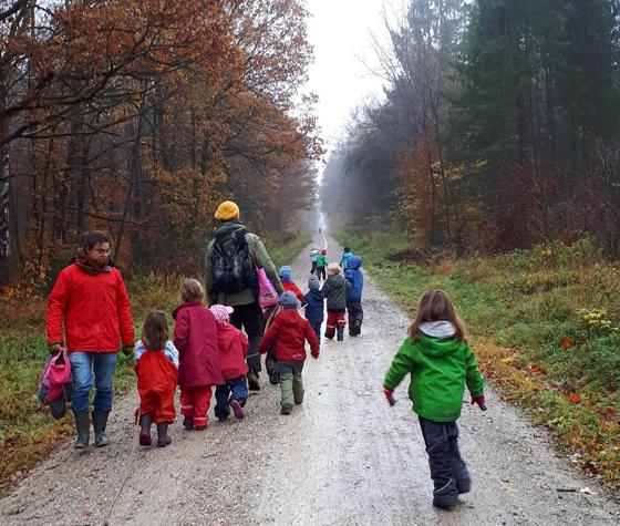 Dreimal die Woche fahren die Kinder des Naturkindergartens Haidhausen mit der Tram in den Perlacher Forst. Sonst sind sie in den Maximiliansanlagen unterwegs. Foto: privat