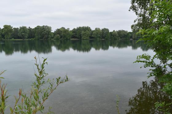 Schön sehen die Ufer aus, doch die Seen im Münchener Norden bergen tiefe Stellen unter Wasser. Foto: Daniel Mielcarek
