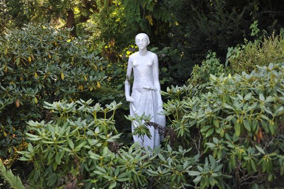 Viele Arten der Gattung Rhododendron sind immergrün. Zu sehen ist die „Weiße Frau“ der Nymphenburger Porzellanmanufaktur im Rhododendronhain des Botanischen Gartens. F: Franz Höck
