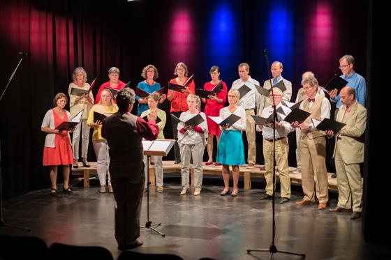 Am 6. November veranstaltet der Kammerchor a cappella! Zorneding eine Schnupperprobe. Foto: Michael Zapke