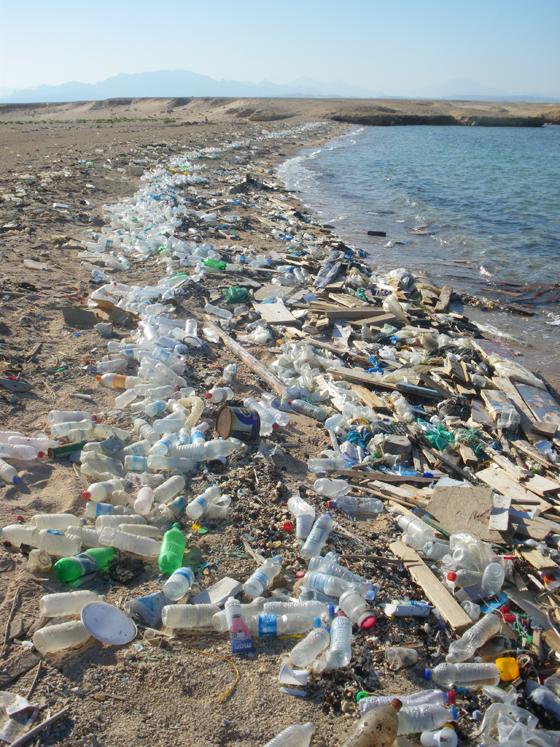 Plastikmüll ist schon längst ein globales Umweltproblem. Auch in Bayern: Alleine in München fallen jährlich 42.000 Tonnen Verpackungsmüll an. Foto: gemeinfrei