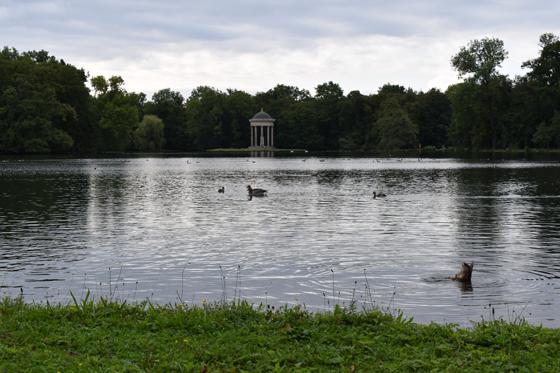 Der Park von Schloss von Nymphenburg. Foto: Daniel Mielcarek