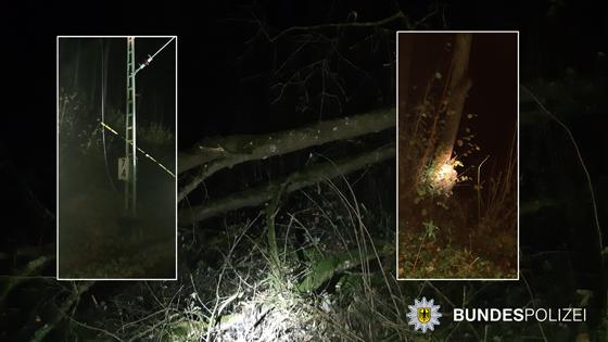 Am Dienstag fiel bei Baumfällarbeiten im Bereich St. Koloman ein Baum in die Speiseleitung. Foto: Bundespolizei