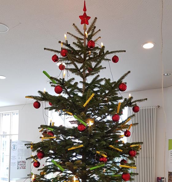 Der Weihnachten-Wunschbaum für Kinder steht im Haarer Rathaus. Vom 5. bis 16. Dezember einfach einen Wunsch pflücken und erfüllen. Foto: Janina Kufner