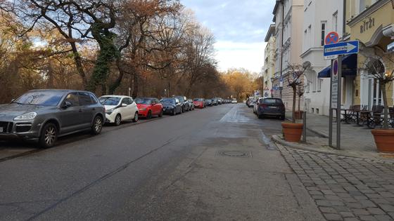 Das Radfahren ist in den Maxanlagen ausgeschlossen. In der Maria-Theresia-Straße herrscht Tempo 30 und Platz für eine Fahrradstraße, findet die SPD. Foto: SPD Au-Haidhausen