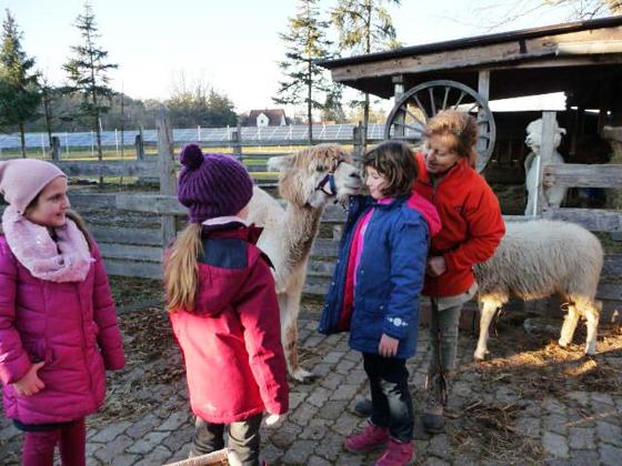 Moni's Farm mit Alpacas und weiteren Tieren, die sich hier pudelwohl fühlen. Foto: VA