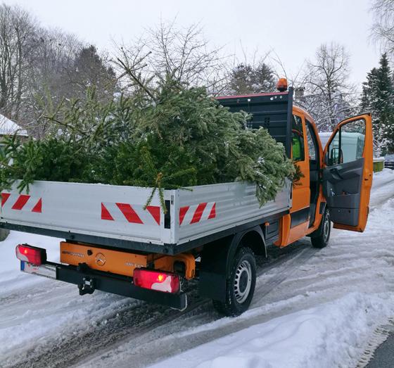 Am 11. Januar werden ab ca. 8.30 Uhr gegen einen kleinen Unkostenbeitrag von 5 Euro die Christbäume abgeholt. Foto: BRK