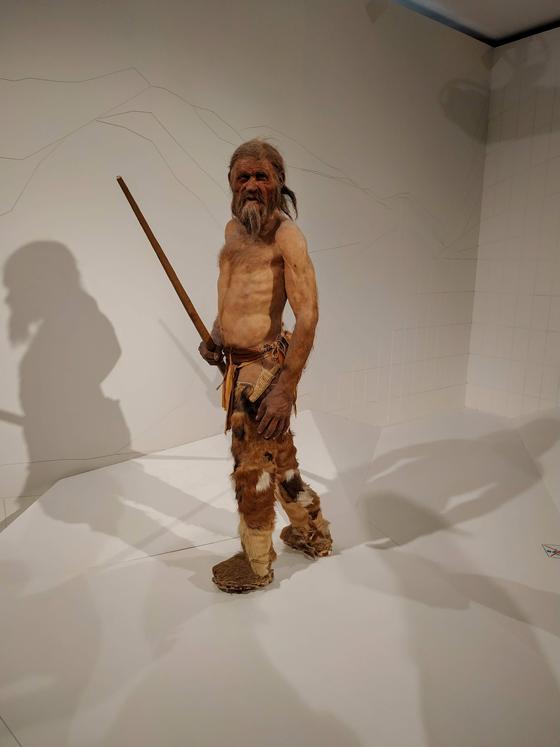 Eine künstlerische Nachbildung von Ötzi im sehenswerten Archäologiemuseum in Bozen.  Foto: Stefan Dohl