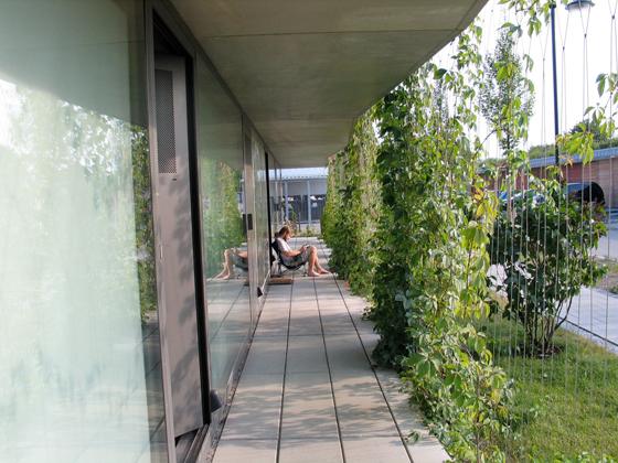 Ein Beispiel für eine klimafreundliche Umsetzung zeigt die Wohnanlage Enzianstraße des Studentenwerks in München. Foto: Tanja Kernweiss