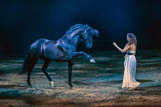 Kenzie Dysli wird mit ihrer Freiheitsdressur als Prinzessin Samira in "Legende der Wüste" zu sehen sein. Foto: CAVALLUNA