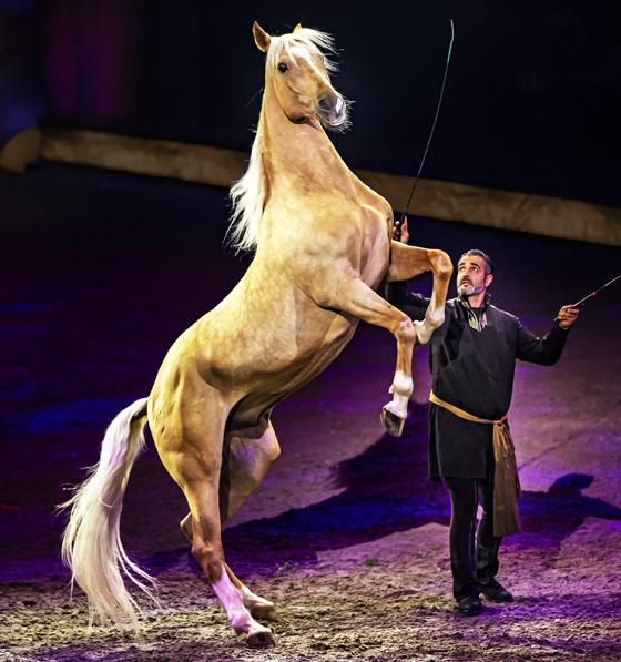Bartolo Messina hier mit einem steigendem Pferd. Foto: CAVALLUNA