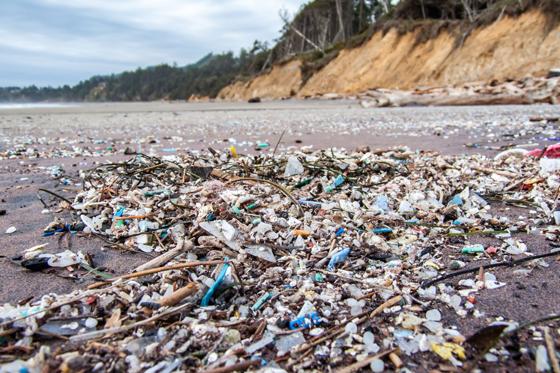Moosach widmet sich vermehrt dem Thema Plastik, damit es an den Weltmeeren nicht mehr so aussieht wie auf dem Foto. Foto: Julia Hager