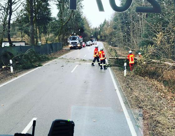 Ab 5.57 Uhr waren die Feuwehrmänner in Grasbrunn, Neukeferloh sowie Keferloh unterwegs, um umgestürzte Bäume von den Straßen zu beseitigen. Foto: FFW Grasbrunn