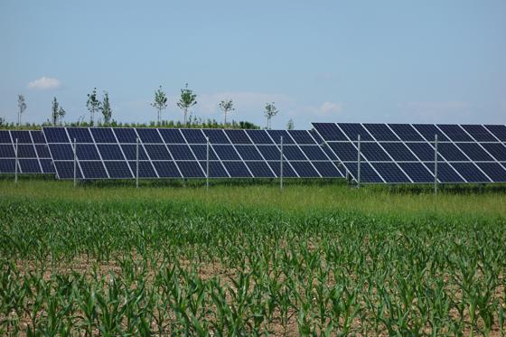 Das erste Solarfeld an de A8 bekommt Gesellschaft. Dort wird eine weitere, allerdings etwas kleinere Anlage noch in diesem Jahr installiert. Foto: hw