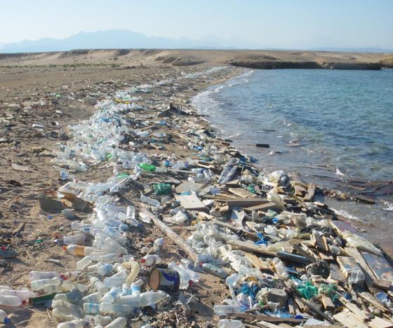 Plastikmüll ist längst ein globales Problem. Deutschland ist europaweit leider Spitzenreiter beim Verbrauch von Plastik. Foto: gemeinfrei