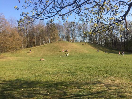 Auch am Wochenende waren bei bestem Frühlingswetter einige Münchner in den Parks. Foto dm