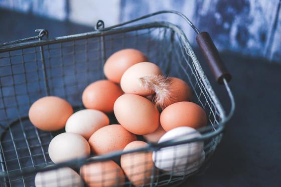Stolze Leistung: Die bayerische Hennen legten im vergangenem Jahr rund 1,1 Milliarden Eier. Foto: CC0