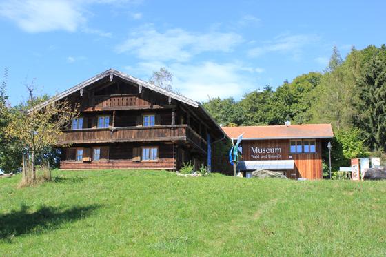 Das Museum Wald und Umwelt in Ebersberg wird an diesem Sonntag zum ersten Mal nach dem Brand wieder seine Pforten für Besucher öffnen. Foto: Stefan Dohl