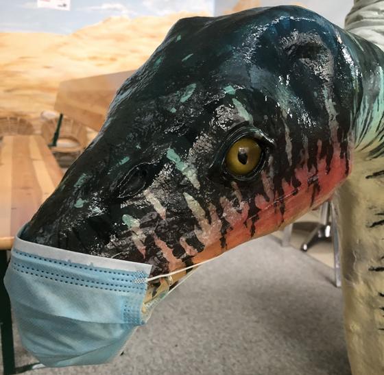 Plesiosaurus mit Mundschutz - Sicherheit geht vor ! Besuchen kann man ihn jetzt wieder im Urzeitmuseum. Foto: VA