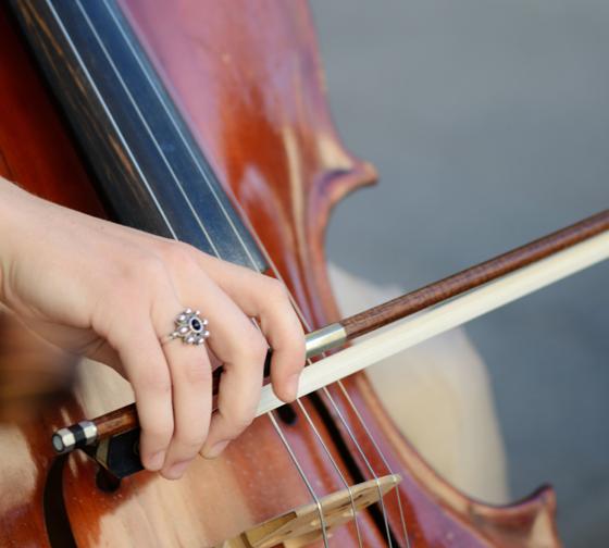 Ein Instrument, das der menschlichen Stimme so nah steht und dadurch eine besondere musikalische Ausdruckskraft besitzt  die Violine. Foto: CC0