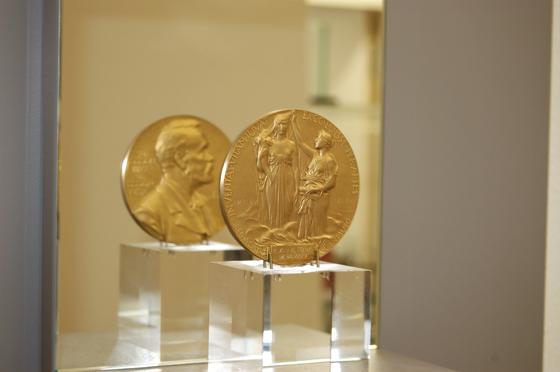 Ein Abguss der Nobelpreis-Medaille für Klaus von Klitzing ist Teil der Dauerausstellung im Schlossmuseum Ismaning. Foto: Schlossmuseum