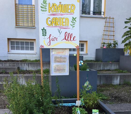 Der Kräutergarten des Nachbarschaftstreff Oslostraße ist frei zugänglich und die Ernte kostenlos. Foto: VA