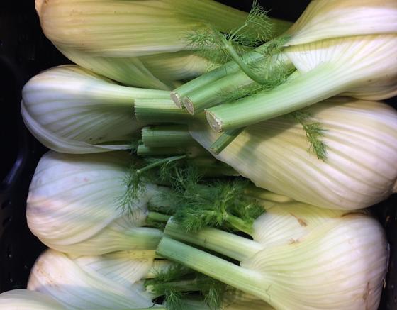 Fenchel ist eine Gemüsesorte, die es gerade frisch geerntet auf dem Markt, beim Bauern oder im Supermarkt zu kaufen gibt. Foto: Daniel Mielcarek