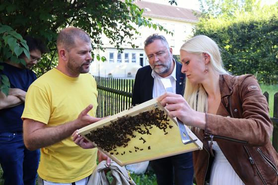 Auch Ismanings Bürgermeister Alexander Greulich (Mitte) besuchte den ZAP-Garten, um sich ein Bild vom Bienenprojekt zu machen. Foto: Holger Mair