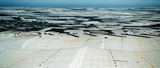 Die größte Gemüseanbaufläche der Welt: das Mar del plastico im Süden Spaniens. Foto: VA