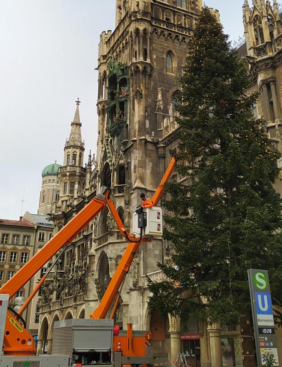 Am Mittwoch wurde der Christbaum aus Steingaden am Marienplatz aufgestellt und geschmückt.  Foto: Stefan Dohl