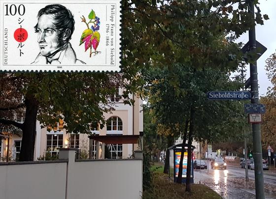 Der Straßenname Sieboldstraße erzählt eine spannende Lebensgeschichte. Links oben: Zum 200. Geburtstag Philipp Franz von Siebolds brachten Deutschland und Japan gemeinsam eine Briefmarke heraus. F: bs / gem