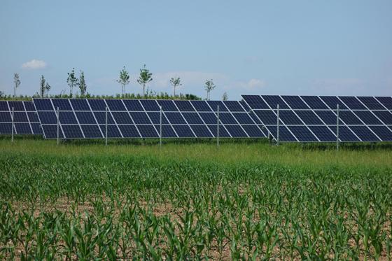 Auch in Unterhaching wurde im Jahr 2020 ein weiteres Solarfeld errichtet. Foto: hw
