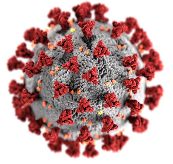Das Coronavirus treibt auch im Landkreis Ebersberg weiterhin sein Unwesen. Foto: gemeinfrei