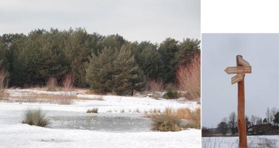 Die Heide im Schnee: Wer möchte aber das ganze Jahr über die Heideflächen mitbetreuen? Foto: T. Maier, Heideflächenverein