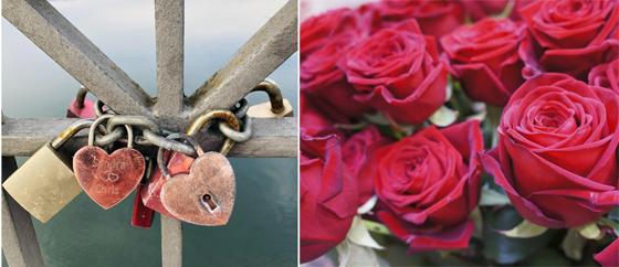 Am 14. Februar ist Valentinstag, eine gute Gelegenheit, den Menschen, die man liebt, einmal Danke für ihre Zuneigung und Fürsorge zu sagen. Egal ob Valentinstag oder nicht, rote Rosen kommen immer gut an. Fotos: hw