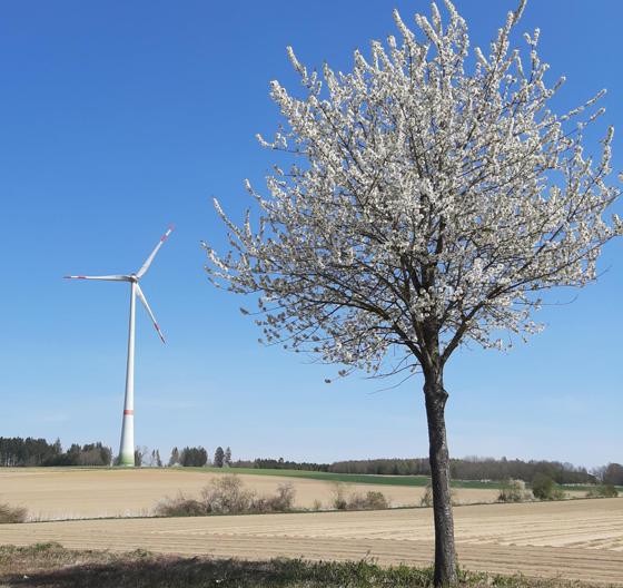 Windkraft - ja, bitte! Die Energiewende Vaterstetten votiert für das Windparkprojekt im Ebersberger Forst. Foto: sd