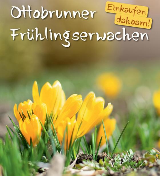 Das Ottobrunner Frühlingserwachen-Plakat hängt in den teilnehmenden Geschäften aus. Foto: VA