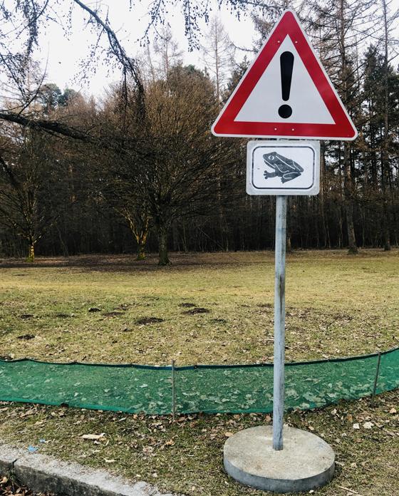 Wie hier am Perlacher Forst werden auch im Landkreis München an allen erforderlichen Plätze Krötenschutzzäune aufgestellt. Foto: hw