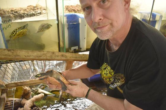 Leiter der Auffangstation Dr. Baur und sein Team kümmern sich um Reptilien in Not. Foto: dm