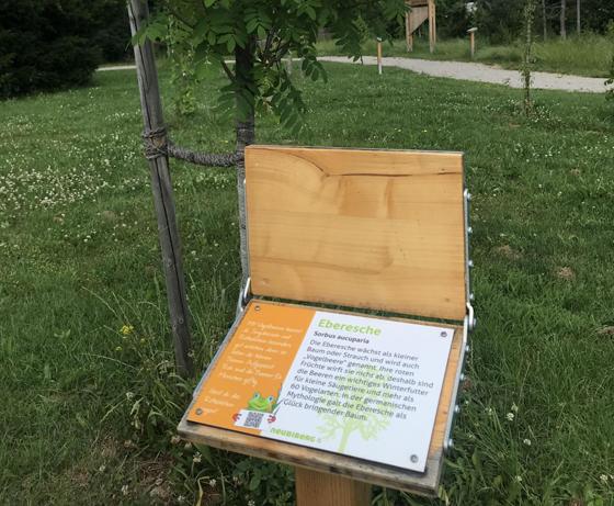 Der Baumlehrpfad im Neubiberger Umweltgarten bietet spannende Infos für Alt und Jung. Jetzt fördert die Gemeinde die Naturliebe auch im eigenen Garten.  Foto: hw