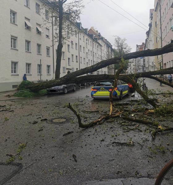Ein umstürzender Baum hat einen Totalschaden an einem Polizeiauto verursacht. Foto: Polizei München
