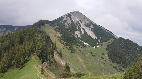 Der Geigelstein (1808 m) ist als Chiemgauer Blumenberg und als Aussichtswarte bekannt. Foto: Stefan Dohl