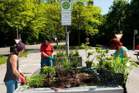 Bringt Grün ins Viertel: die Bürgerinitiative Mehr Platz zum Leben. Jetzt sind schon wieder Projekte geplant. Foto: Privat