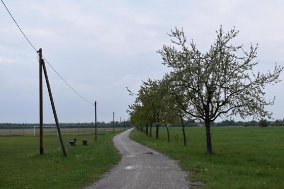 Durch die Heideflächen im Münchner Norden geht es bei einem geführten Spaziergang. Foto: dm