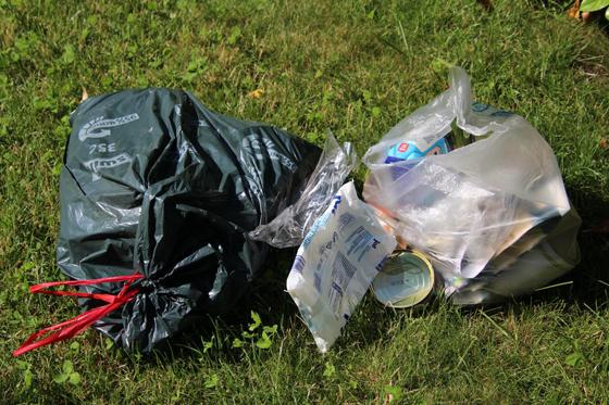 Auch in Moosach zu beobachten: das illegale Entsorgen von Abfall. Der BA glaubt nicht, dass man dieser Unsitte mit höheren Bußgeldern beikommen kann. Foto: Simone Bauer