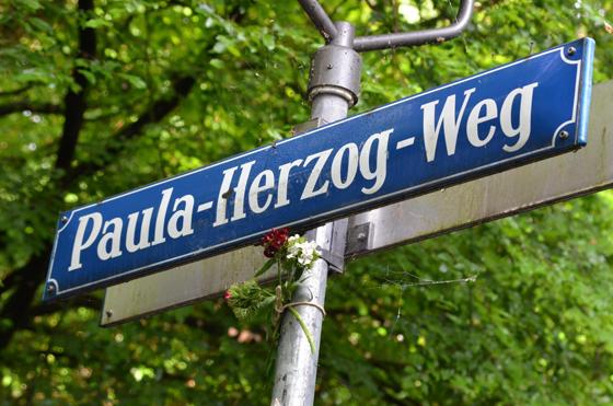 Der Paula-Herzog-Weg führt südlich des Candidplatzes über den Auer Mühlbach. Foto: SPD Untergiesing
